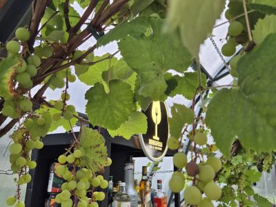 Drinkafella Baariteenus ja Catering 20250801_181330